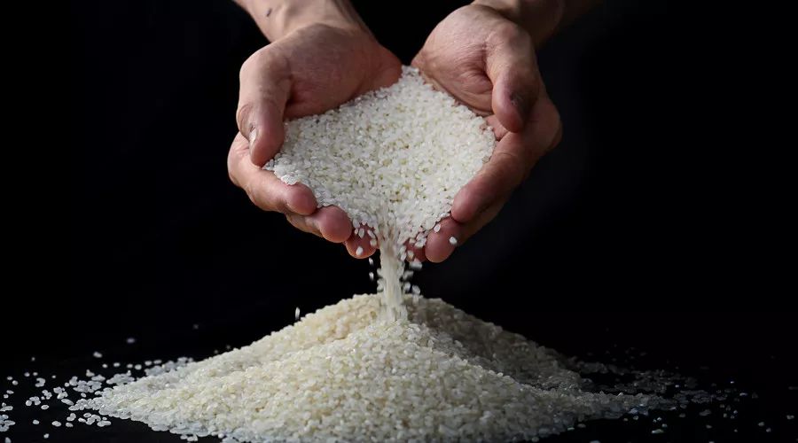 2元一斤和60元一斤的大米到底差在哪？終于明白了