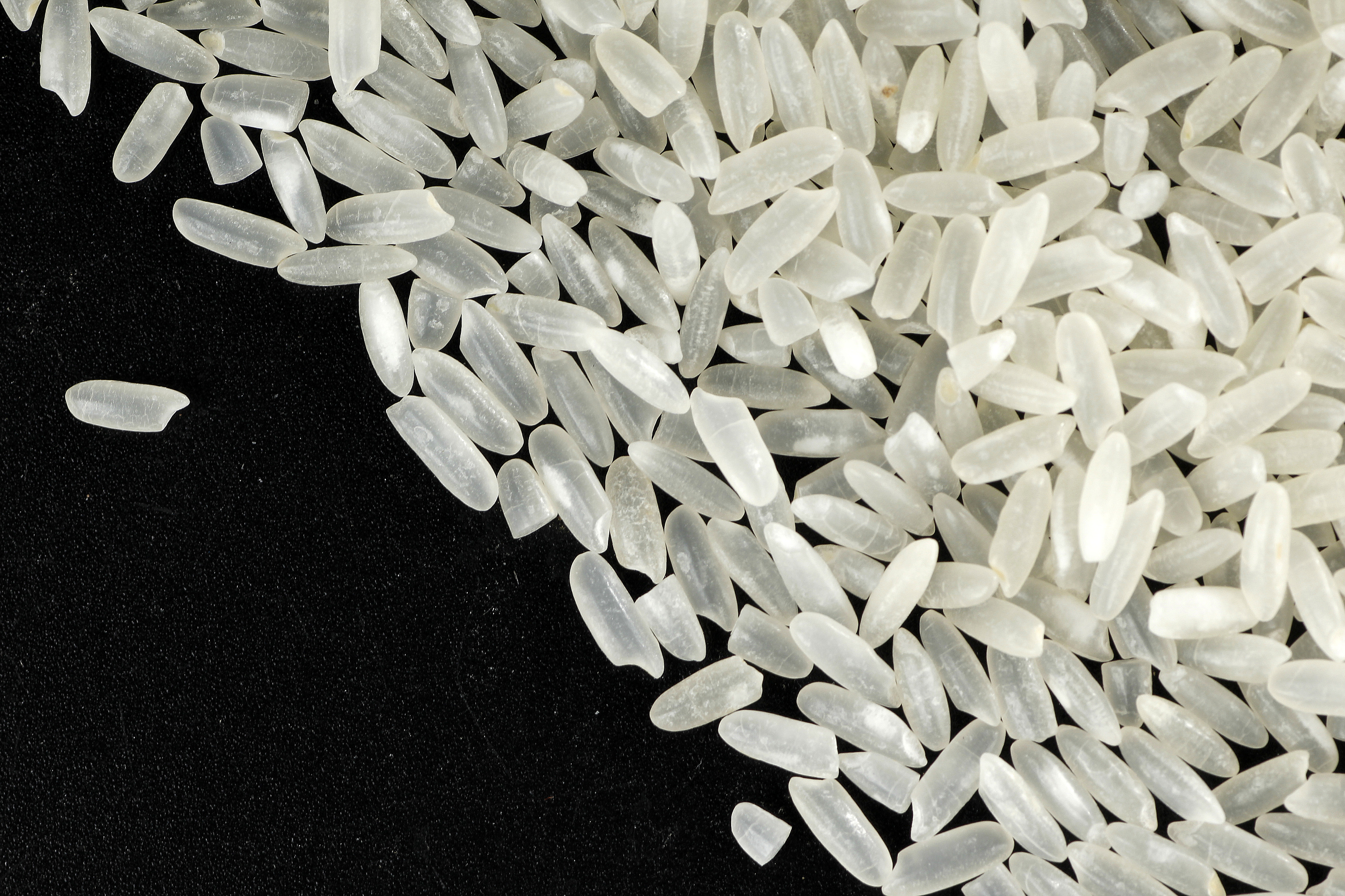 這些地方的大米都很好吃，哪一口是你的家鄉(xiāng)味？